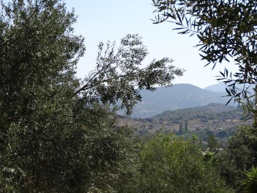 Lassia Studios, Petra (fotografie 8)
