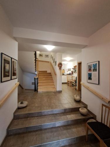 大堂, Pension Staré Srní (Pension Stare Srni) in 簡妮