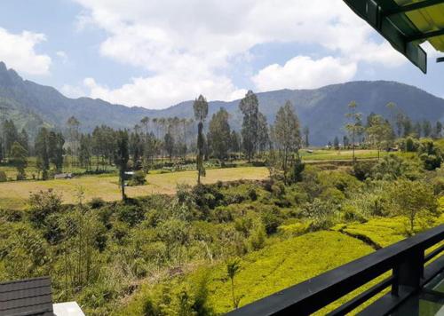 View, D'Koes Dieng in Rejosari
