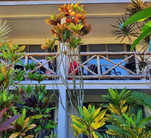 Erkély/terasz, Vaea Hotel Samoa in Lalovea