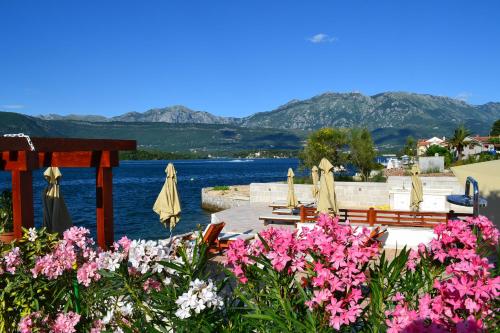 Apartments Harmonia - image 2