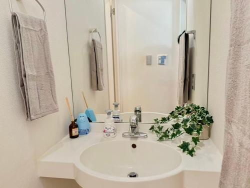 Ikebukuro 2Room D3