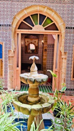 Jardín, Historical Riad - Maison Habiba in Safi