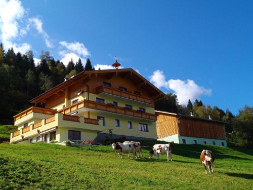 Biobauernhof Aslgut - Hotel - Bad Hofgastein