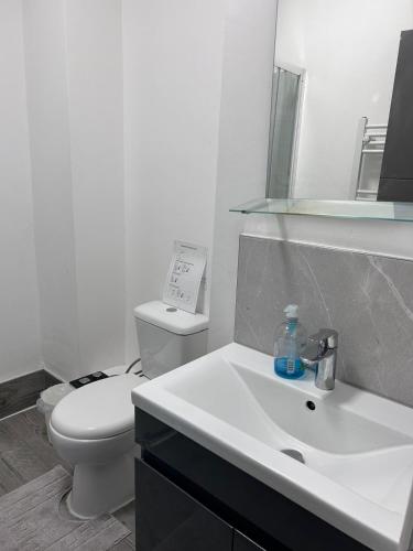 Triple room Private Bath Near LFC Free Street Parking No Breakfast, Liverpool (photo 9)
