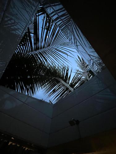 The Ocean Edge Homestead