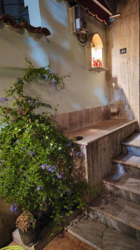 Doni's Charming Vintage Home, Tirana (fotografie 6)