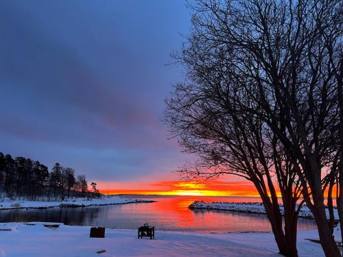 Modern Apartments in ตอนซเบิก
