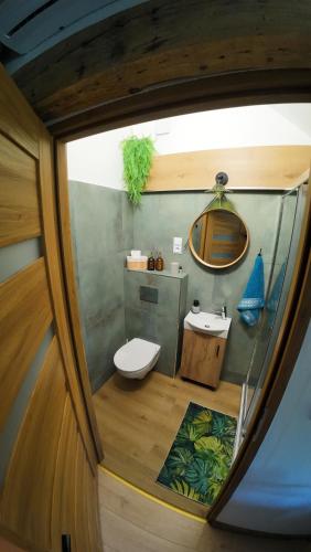 Studio z widokiem na park, Srebrna Góra (photo 2)