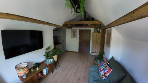 Studio z widokiem na park, Srebrna Góra (photo 4)