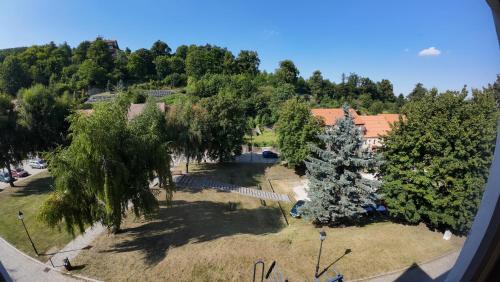 Studio z widokiem na park, Srebrna Góra (photo 6)