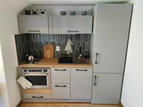 Studio z widokiem na park, Srebrna Góra (photo 10)