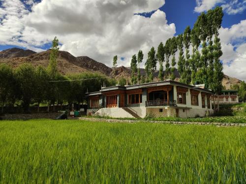 Phyang Eco Residence in Phyang