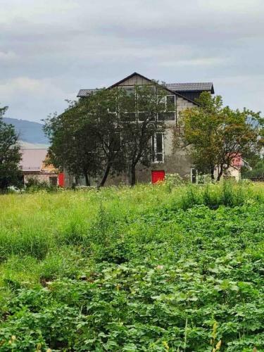 Exterior view, Dsegh Summer School for Study for Success in Dzoraget