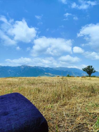 View, Dsegh Summer School for Study for Success in Dzoraget