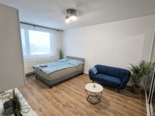 Zafir Garzon in Adyvaros