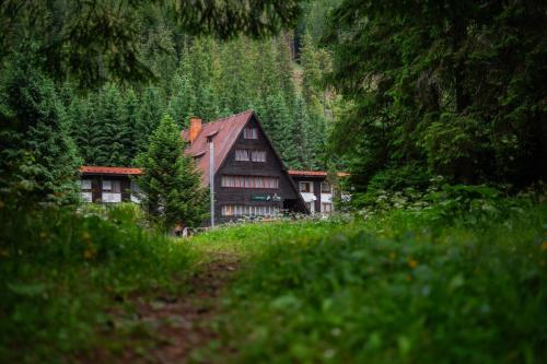 . Horská chata Primula - 1000 m nad morom