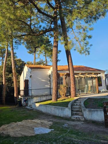 La Jonquière Hyper Centre - Location saisonnière - Les Mathes