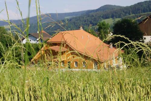  Ferienhaus Ferme d´Alma, Wohnung Moderne in Ocourt