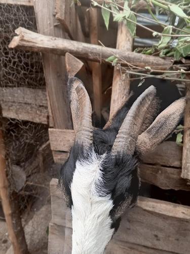 The Kenyan Handbuilt Haven in Meru