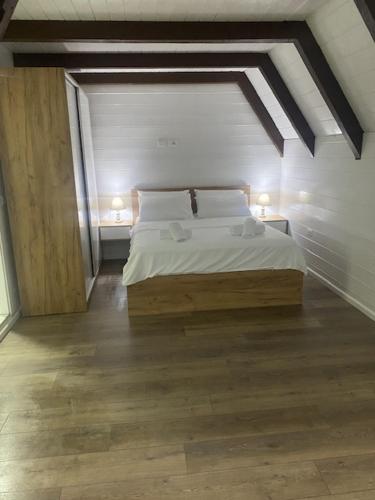 Forest Escape in Theth