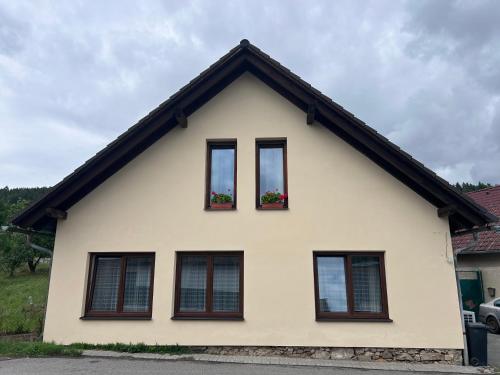 Viesnīcas āriene, Párty penzion Dolany (Party penzion Dolany) in Ckyne