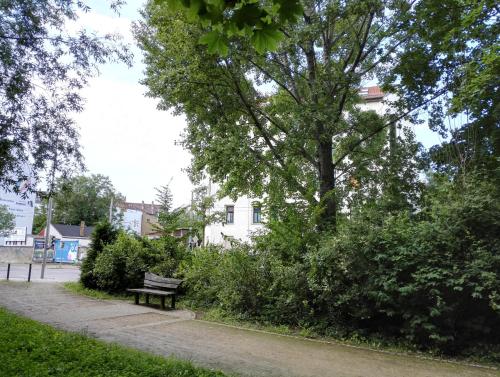 Amsterdam-Einraumwohnung, Leipzig (photo 9)