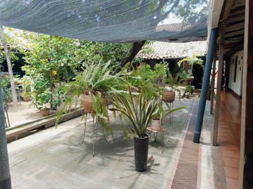 Casa de Los Berrios in León