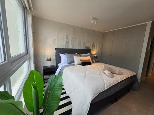 HOM I Studio Piscina Parking Serena Cowork Mar