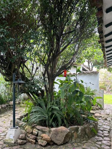 Villa De Leyva El Refugio de la Villa - image 5