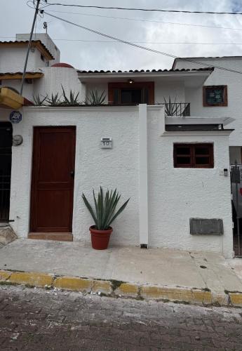 Casa Agave Animas Tower, El Castillo