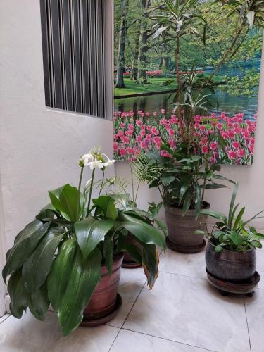 สวน, Hospedaje El Jardín (Hospedaje El Jardin) in ย่านทางเหนือ