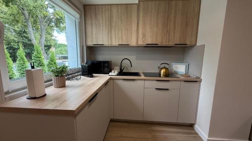 Apartaments Rocha 159 - Blisko Jasnej Góry