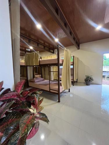 hostel Mar y Bosque