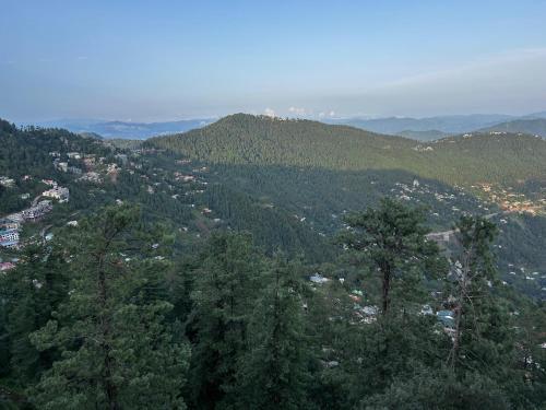 Pinesines Funduq, Murree (photo 8)