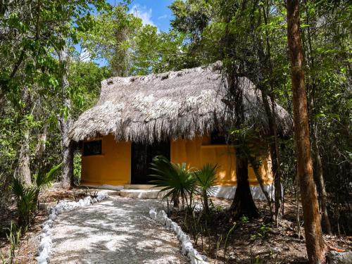 A szálláshely kívülről, Jolie Jungle Eco Hotel in Leona Vicario