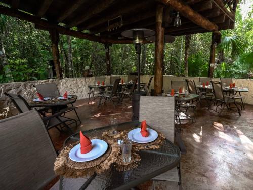 Létesítmények, Jolie Jungle Eco Hotel in Leona Vicario