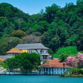 Windgate Kandy - image 4
