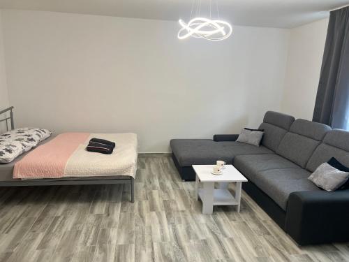 Apartmány P&P Hořice (Apartmany P&P Horice) in ออริเซ
