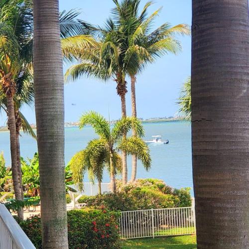 Breathtaking Waterview Condo!, St Petersburg
