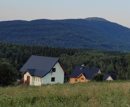 Domek pod Koroną Bieszczad
