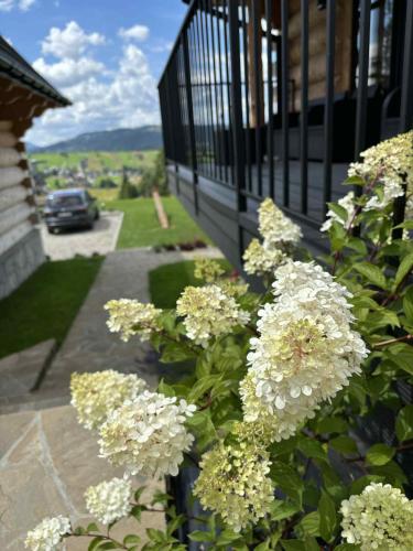 Domki na Gawlakach, Zakopane (foto 9)