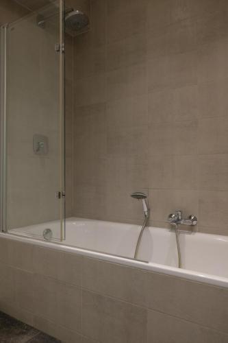 Brussels center spacious and central apartment, Bruselas (foto 6)
