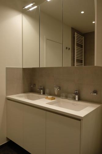 Brussels center spacious and central apartment, Bruselas (foto 7)