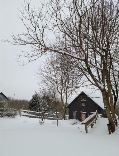 Cute Cozy Cottage Glenford New York in West Hurley