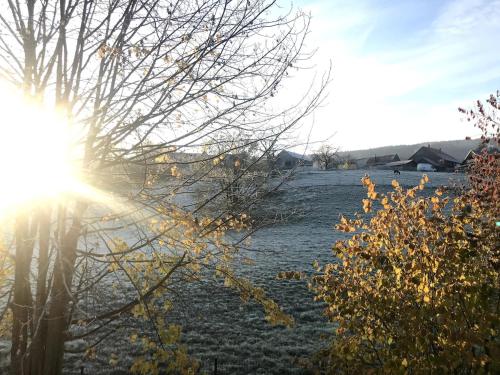 La Maison d Ange Lou in 勒奧瓦爾德