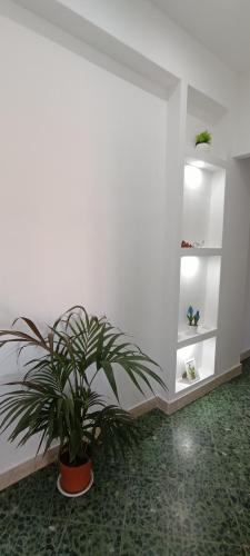 Airoldi Home - image 5
