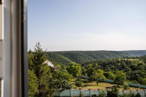 Vila Panorama in Зноймо