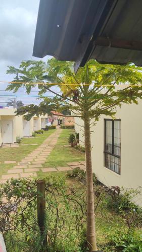 Palmgreen 3 bedroom in Eldoret