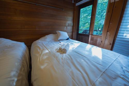Hakuba Riverside Loghouse